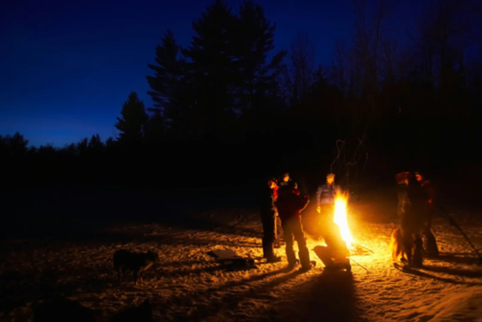 A bonfire is a fun, laid-back way to celebrate a birthday party.
