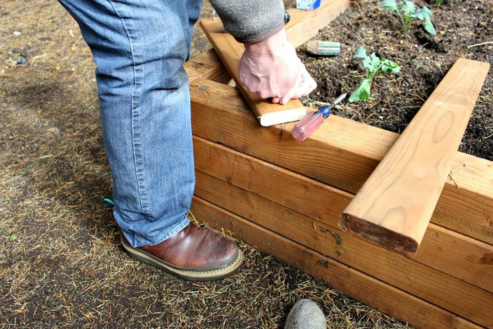 pre-drilling holes into wood