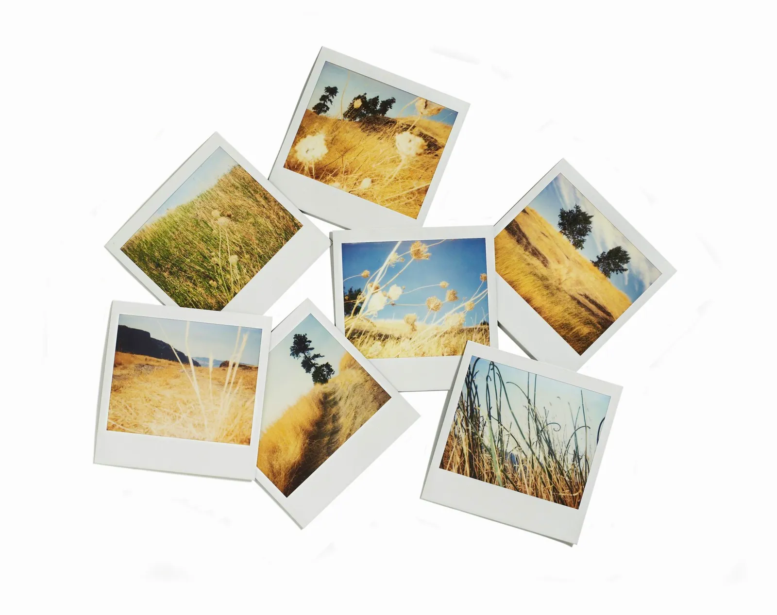 Polaroid images of landscapes