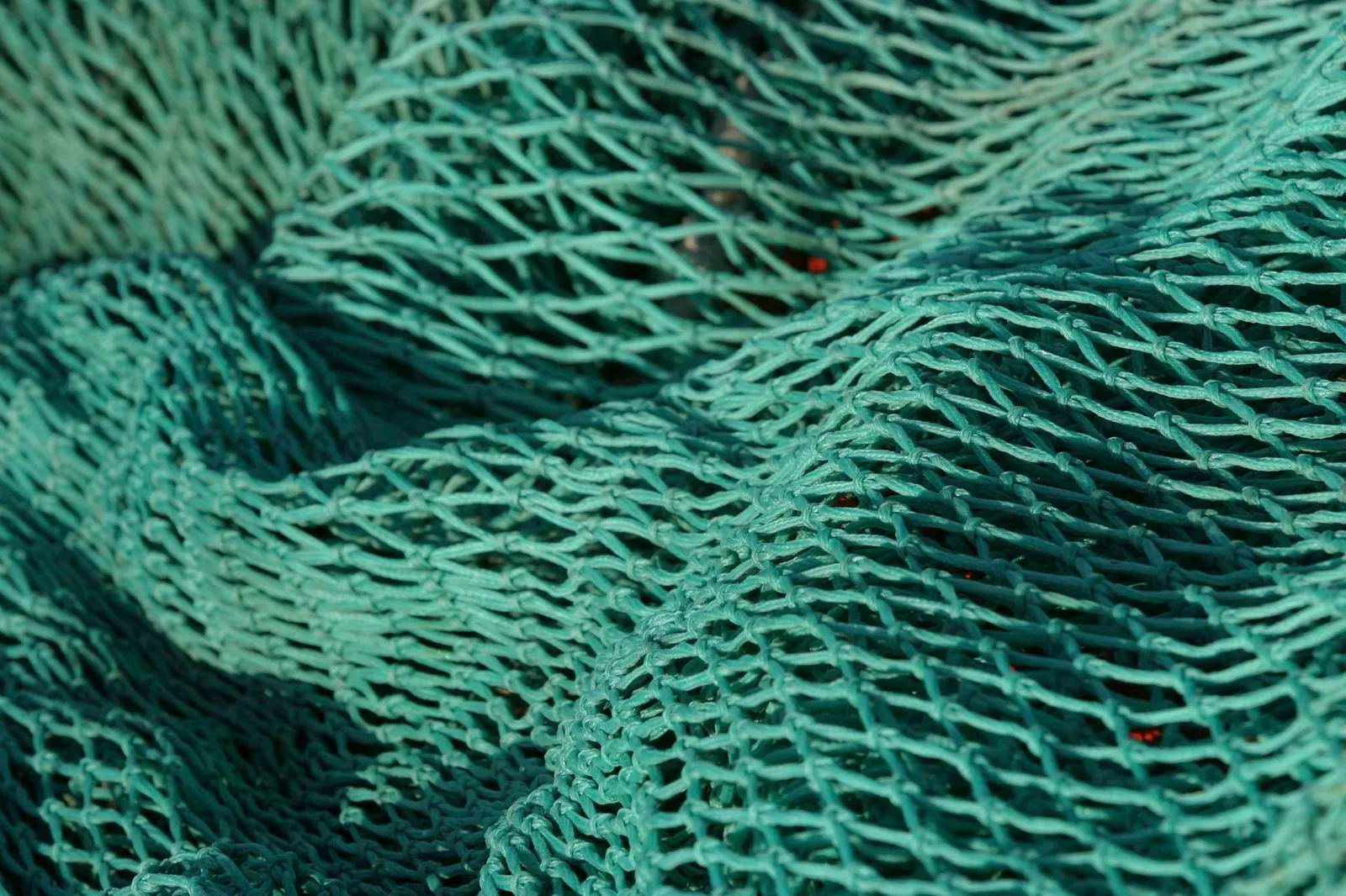 Clear acrylic spray paint can be used to stiffen netting.
