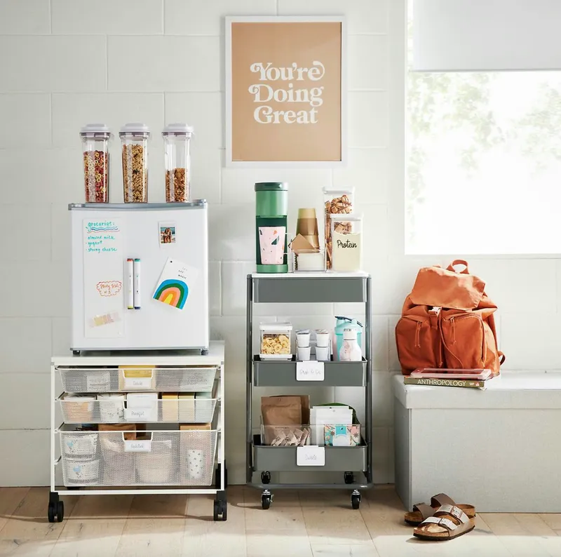 Smart Storage Solutions to Tidy Up Your Compact Fridge