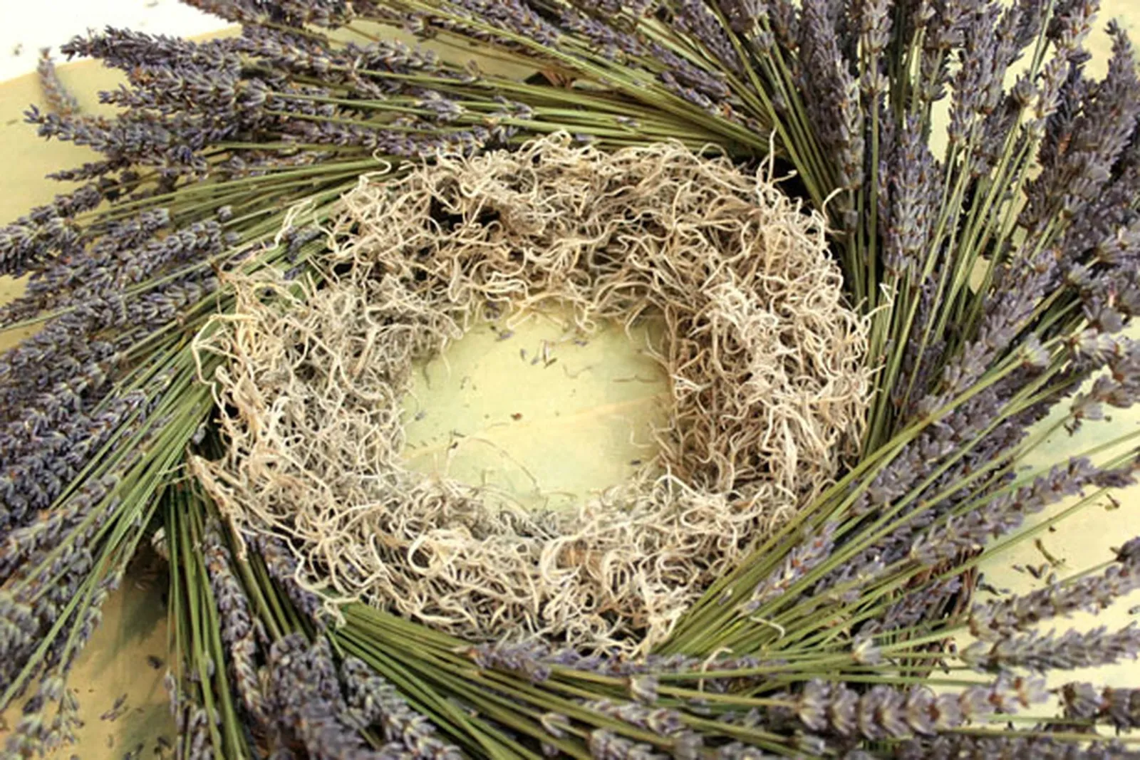 Cover the inside edge with Spanish moss.