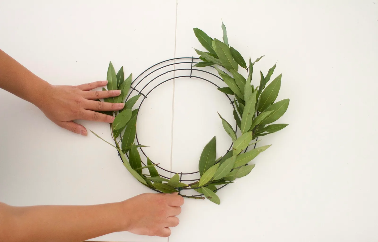 Wrap olive greens counter clockwise