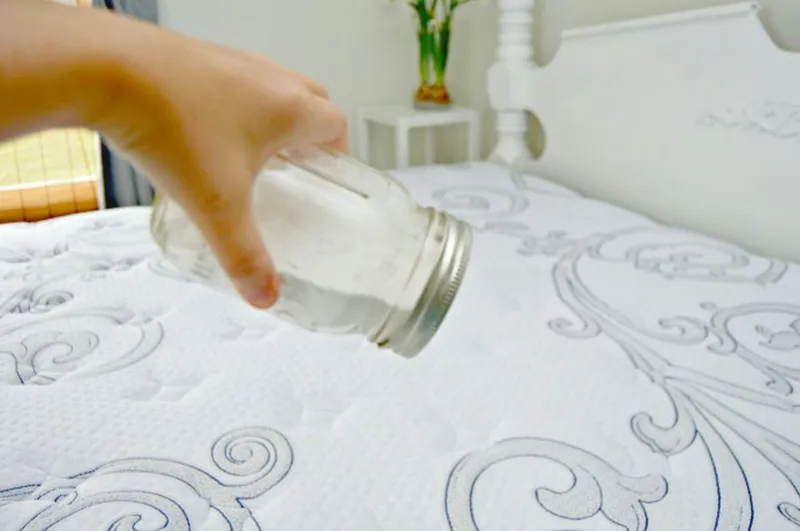 DIY Mattress Deodorizer