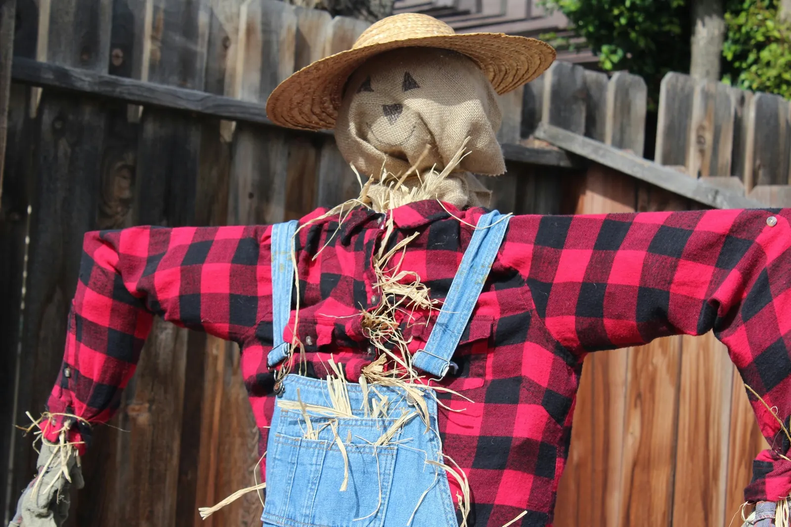 This scarecrow looks happy while defending the garden.