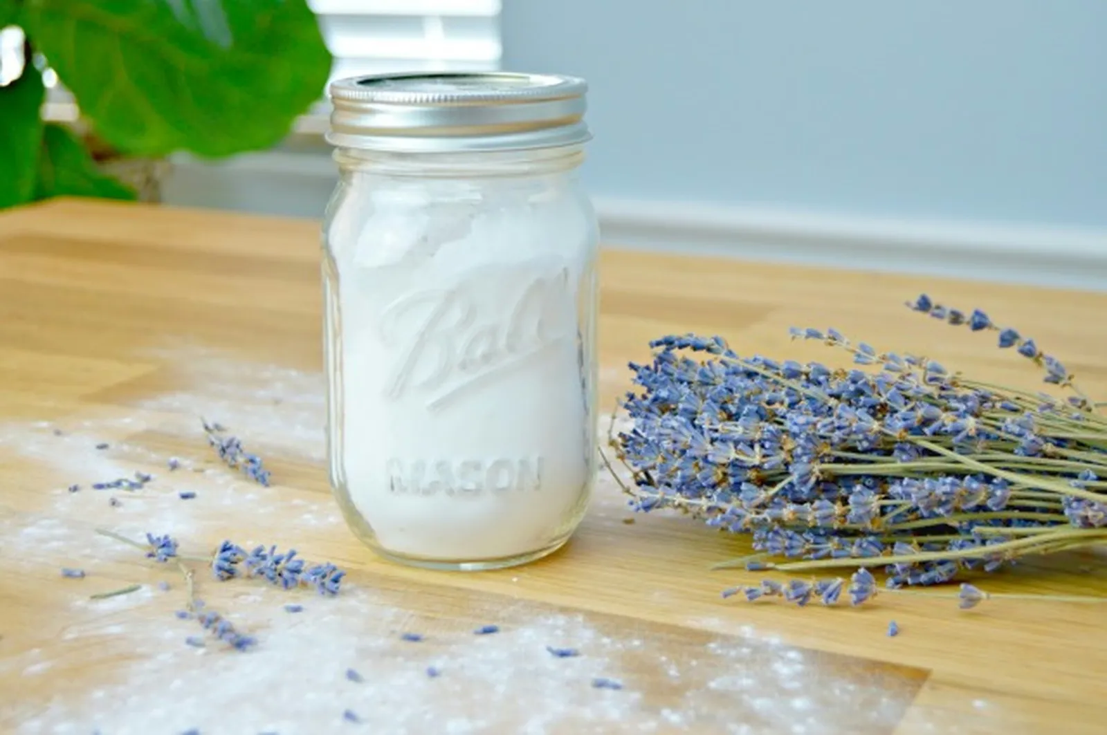 Homemade Mattress Deodorizer