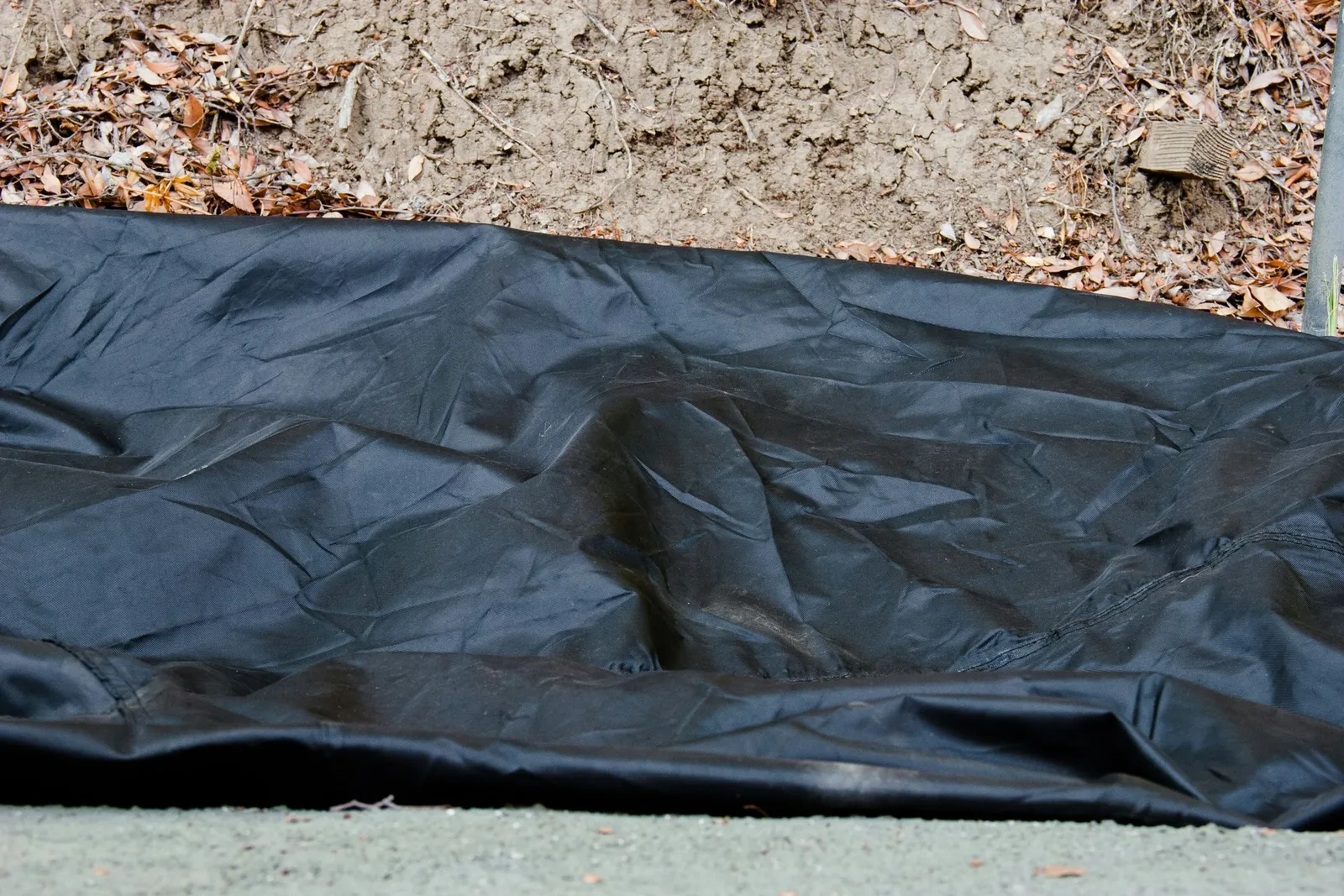 Naturally Keeping Fleas and Ticks Out of Your Outdoor Space