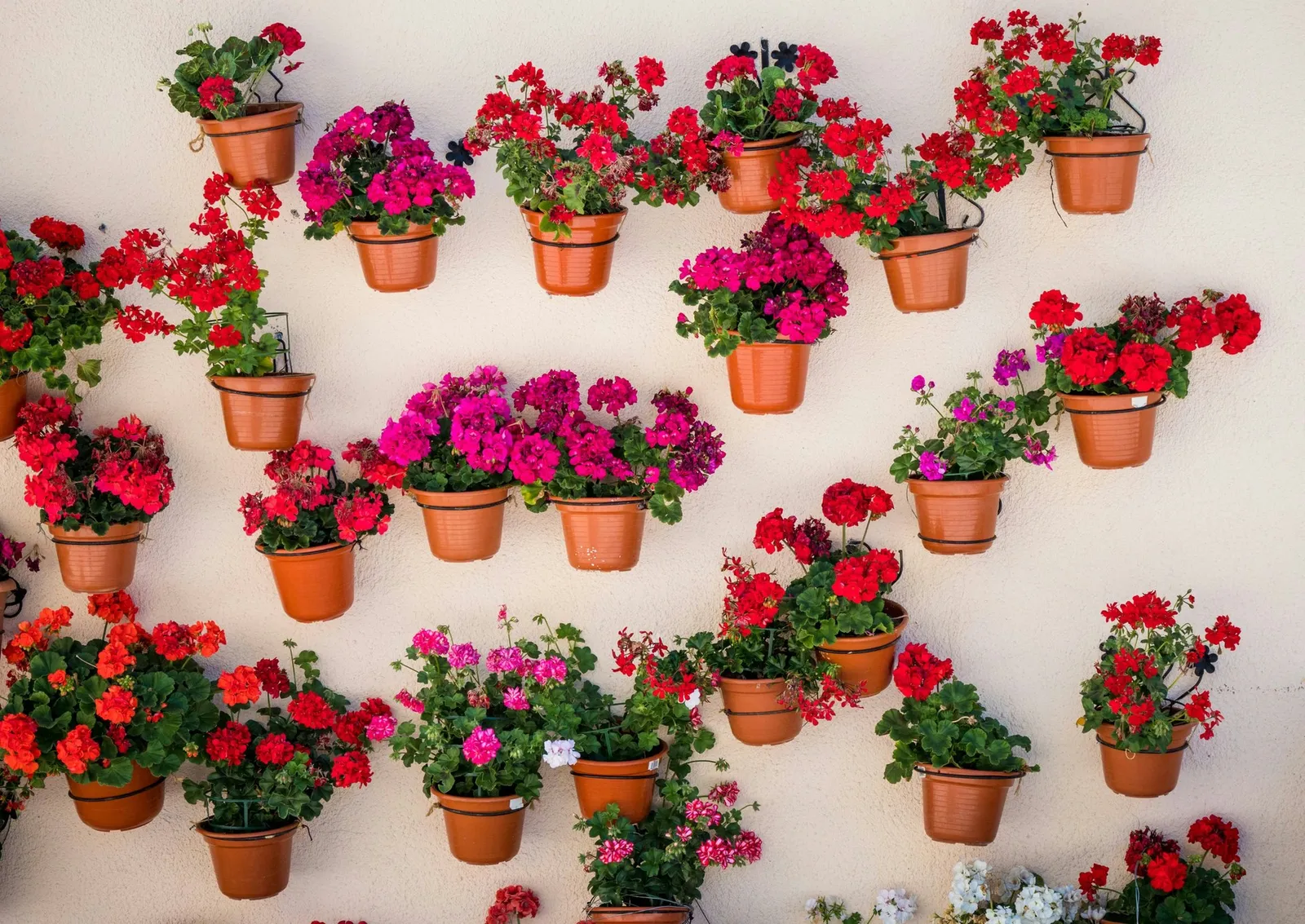 Weekend Curb Appeal Boosters: 10 Projects to Transform Your Home's Exterior