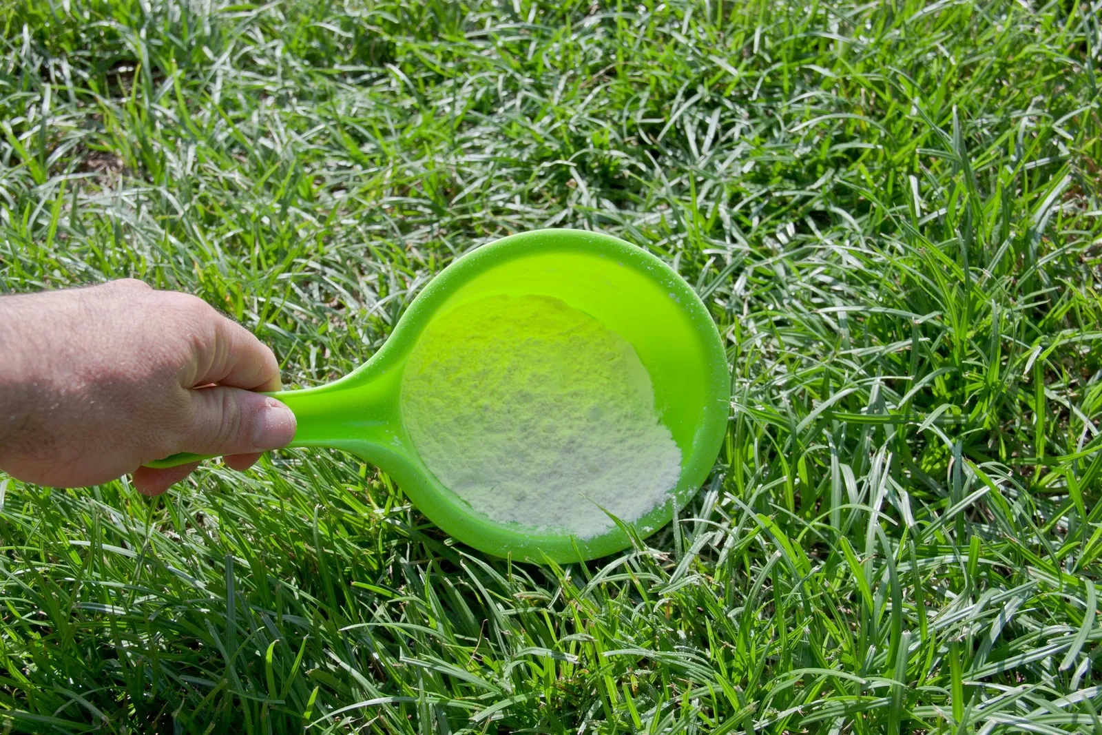 Naturally Keeping Fleas and Ticks Out of Your Outdoor Space