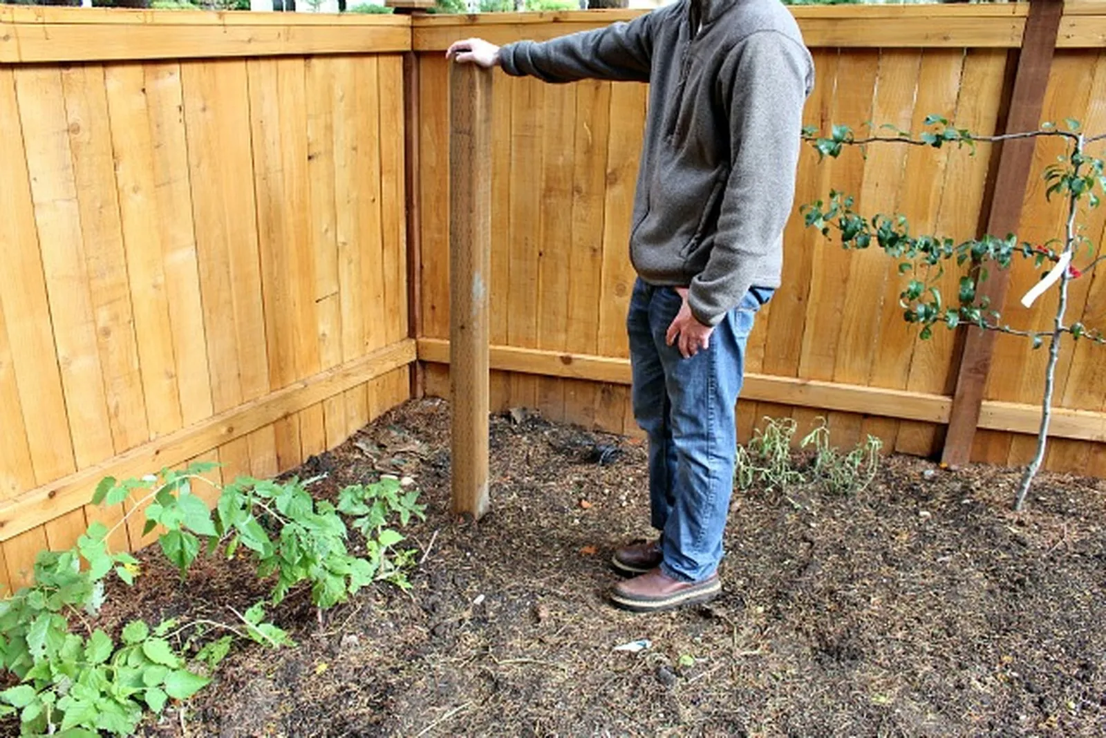 fence post, hand on fence post