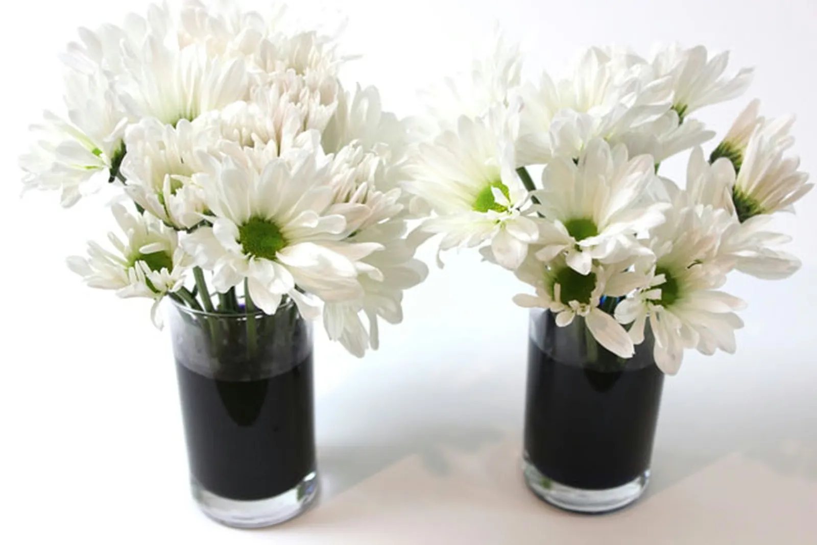 flowers in color