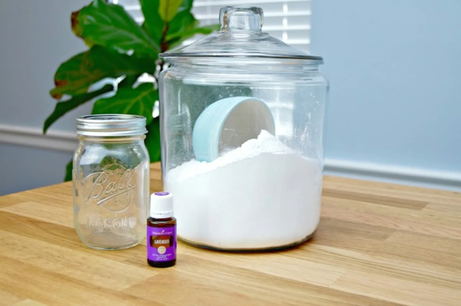 DIY Mattress Deodorizer Ingredients