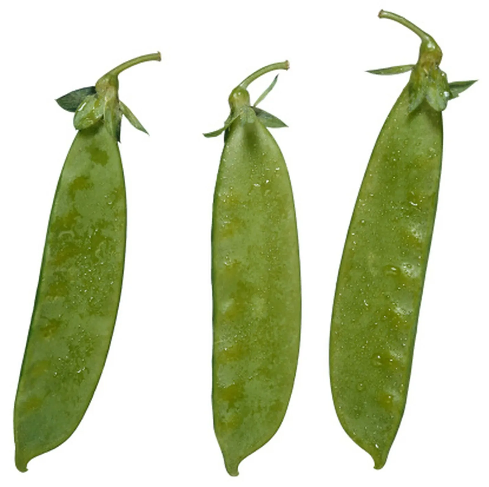 Snow pea pods