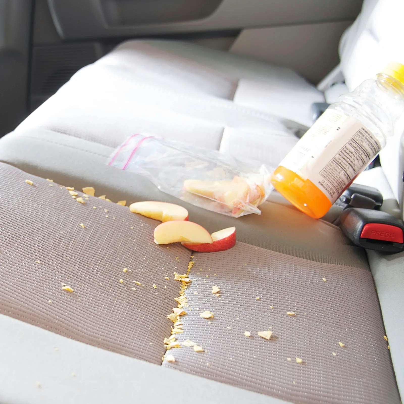 Taming the Chaos: A Practical Guide to a Tidy Family Vehicle