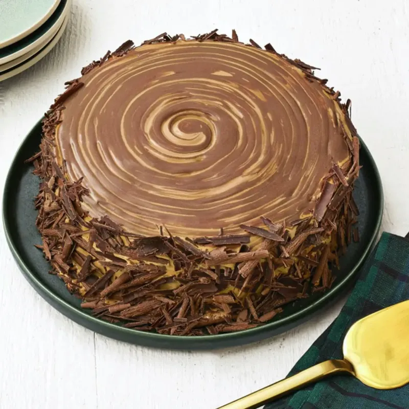 Chocolate Dulce De Leche Stump Cake