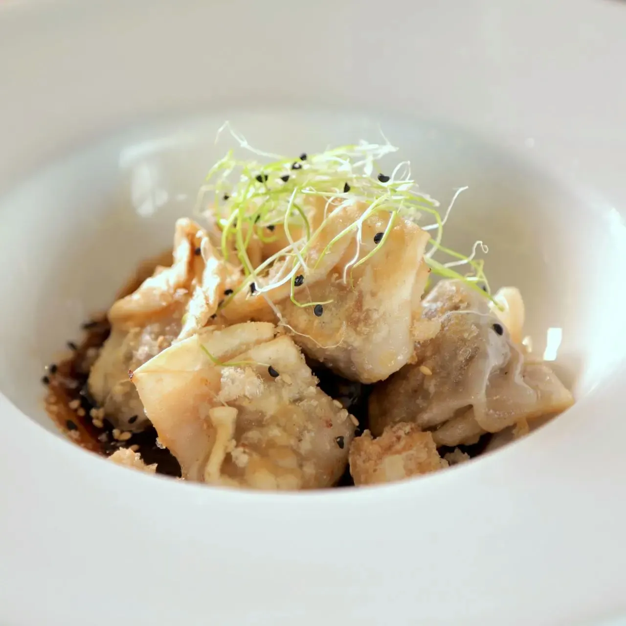 Ropa Vieja Dumplings